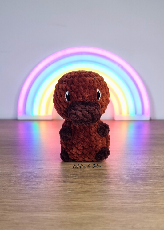 🪿 Petit ornithorynque